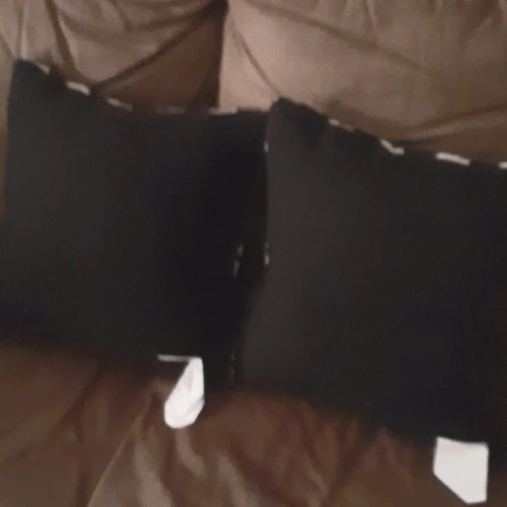 WORLD MARKET DECORATE THROW PILLOWS SET OF 2